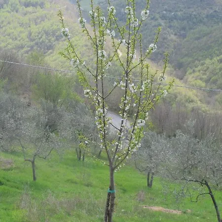 Luxury Casale Sabina Valley Villa *
