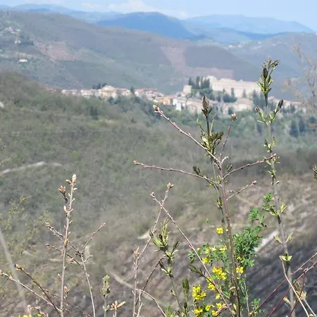 Luxury Casale Sabina Valley *